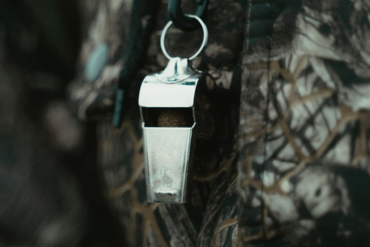 close up photo of silver whistle hanging from a tree
