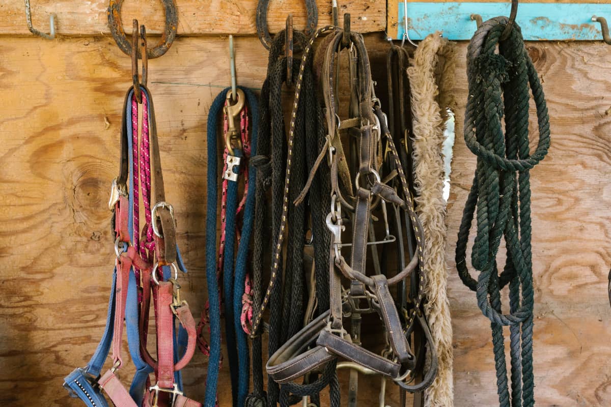 Assortment of straps, cords, ropes and ties hanging on a wall