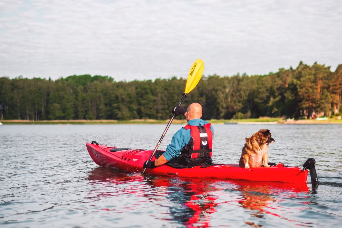A man and a dog riding a kayak together