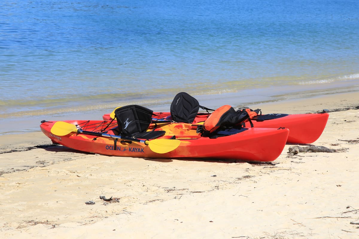 Two ocean kayaks on the beach