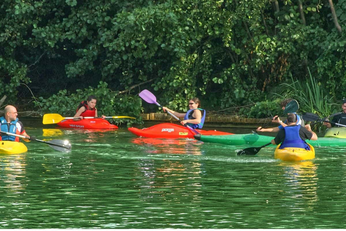 Multiple people riding kayaks during peak paddling season