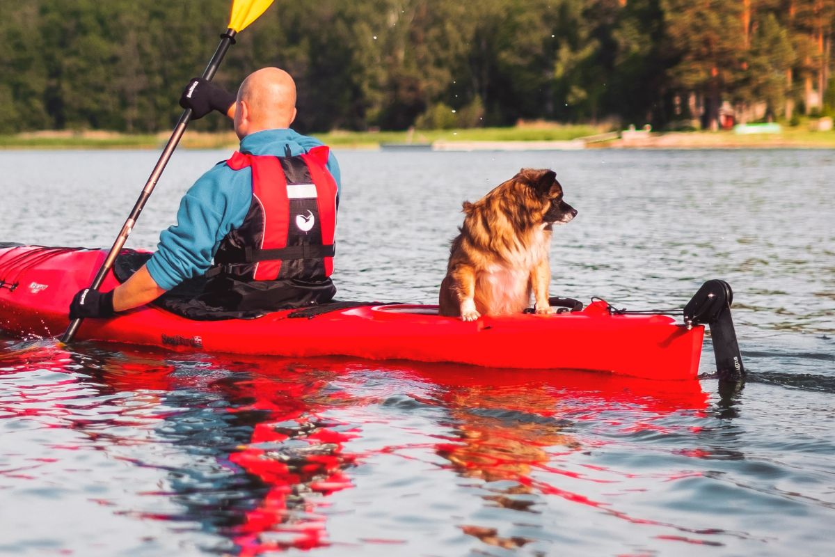Man and dog riding a red kayak with a rudder